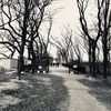 kkolorea